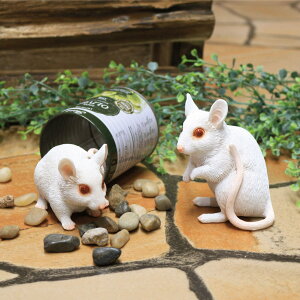 K[fI[ig ncJlY~ i K[fjO I[ig fBXvC  u K[f}XRbg ˂  GgX  K[f G CeA  EFJ