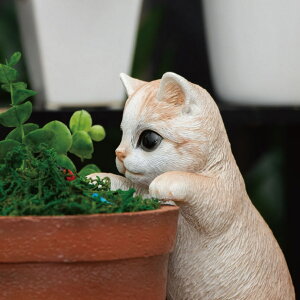 K[fI[ig Lbg L i K[fjO I[ig fBXvC  u K[f}XRbg ˂  GgX  K[f G CeA  EFJI[