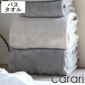 バスタオル カラリデイプレミアム （ タオル 湯上りタオル 吸水 速乾 厚手 やわらか 無地 デイリータオル ループ付き 浴用タオル 60×120cm タオルケット ふんわり 日常使い 新生活 シンプル ギフト ）
