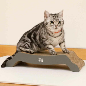 U[܂Ƃ TOGITOGI xbh hachi i L ˂ lR ܂Ƃ i{[ U[ Lpi ܌ ߂Ƃ _{[ ܖ ܂݂   Ƃ ݂ j