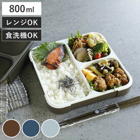 弁当箱 800ml 抗菌 フードマン FOODMAN 薄型 1段 （ 食洗機対応 レンジ対応 ランチボックス 薄型弁当箱 一段 大容量 800 男子 食洗機OK レンジOK 一段弁当箱 抗菌加工 AG 薄い スリム 四点ロック 弁当 お弁当 男性 ）
