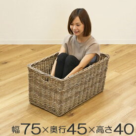 楽天市場 かご バスケット 収納 ラタン 大の通販