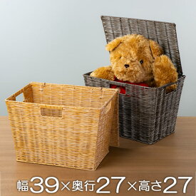 バスケット 収納ボックス 約 幅39×奥行27×高さ27cm ラスティー ふた付き フルサイズ （ 収納 かご 小物入れ 収納ケース 蓋付き フタ付き 籠 カゴ カラーボックス収納 バスケット収納 リビング 卓上収納 インナーボックス 棚上収納 ）