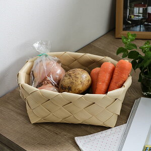 oXPbg 26×s18×10cm 􂦂 [{bNX JS i [oXPbg I[o [  [ [oXPbg ؃XgbJ[ Lb`[ rO[  j