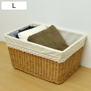oXPbg VRf [X LTCY [ i 51.5×s36.5×28cm JS zt ҂  t [P[X [{bNX ` [ [JS 傫 Ci[t  