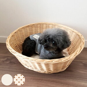 ybgxbh EC[ybgoXPbg NbVt VRf i oXPbg  ybgpxbh ybgpoXPbg p Lp ybgp ybgnEX xbh nEX JS Lbgn