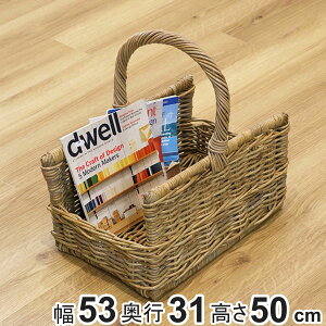 oXPbg ^ 53×s31×50 t  傫 i [ JS VRf R{ t     [ [oXPbg ҂  e ق ^o