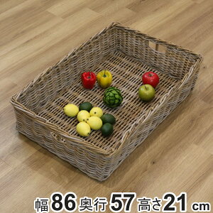 oXPbg ^ 86×s57×21 t  傫 i [ JS VRf R{     [ [oXPbg ^ ҂  e ق ^oXPb