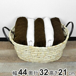  \tgoXPbg CY ȉ~^ t i 44×s32×21cm [ JS oXPbg VRf [  [ 󂩂 󕨓 ʋC  [oXPbg r