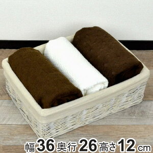 [oXPbg O[ J[{bNX ^ Ci[zt i 36×s26×12cm [{bNX Ci[{bNX  JS oXPbg z u  [P[X ᔠ 
