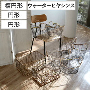  C[oXPbg ق̃JS ^ i oXPbg  [ C[ [oXPbg [ [{bNX C[[ [P[X t t   j