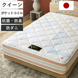 d̑Iׂ }bgX NC[ 郌A TZbgIW |PbgRC i Iׂd ̈U R hL h_j }bg { 26cm tBbg \tg _炩 WXg 