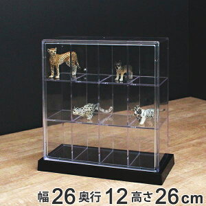 RNVP[X XNGA 12}X M12  NAP[X NA  [ i RNV P[X vX`bN tBMA fBXvCP[X fBXvC CeA   