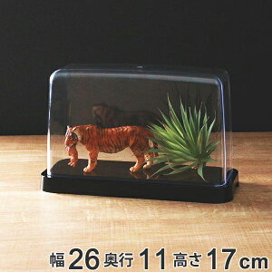 RNVP[X Eh M  NAP[X NA  [ i RNV P[X vX`bN tBMA fBXvCP[X fBXvC CeA   { 