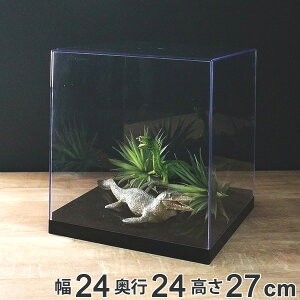 RNVP[X M[ 24cm  NAP[X NA  [ i RNV P[X vX`bN tBMA fBXvCP[X fBXvC CeA   