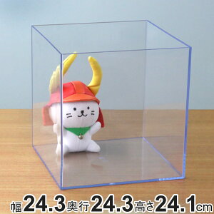 NAP[X [P[X  24.3×s24.3×24.1cm  [ fXRV[Y i [  P[X vX`bN NA  ANZT[ RNV P[X [ d