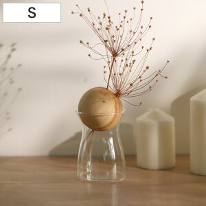 ԕr visco rXR a7×13cm S t[x[X i ԃr Ԃт Ԋ x[X KXx[X t[   ֑} ԓ KX KX nhCh  NA  ׌ VR