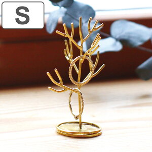 in bloom ANZT[X^h c[ STCY i Cu[ ANZT[ [ ^J w CO WG[X^h gC sAX g[ rO  S[h ݂邷  