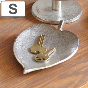 santolina A~[tg[ STCY ANZT[ i Tgi gC g[ Vo[  ANZT[g[ CO w sAX  ANZT[gC [ u g