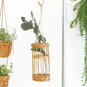 Jo[ AO艺 D a11×23cm i  JS [ ^ AO VRf [ ҂ AؔJo[ 艺 ݂艺 肳 Jo[ ϗtA A  