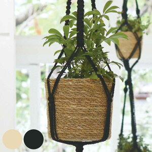 Aؔ }N nMO|bg [W a15cm i  JS }N҂ ҂ vgnK[ |bg |bg AؔJo[ 艺 ݂艺 肳 Jo[ nMOv