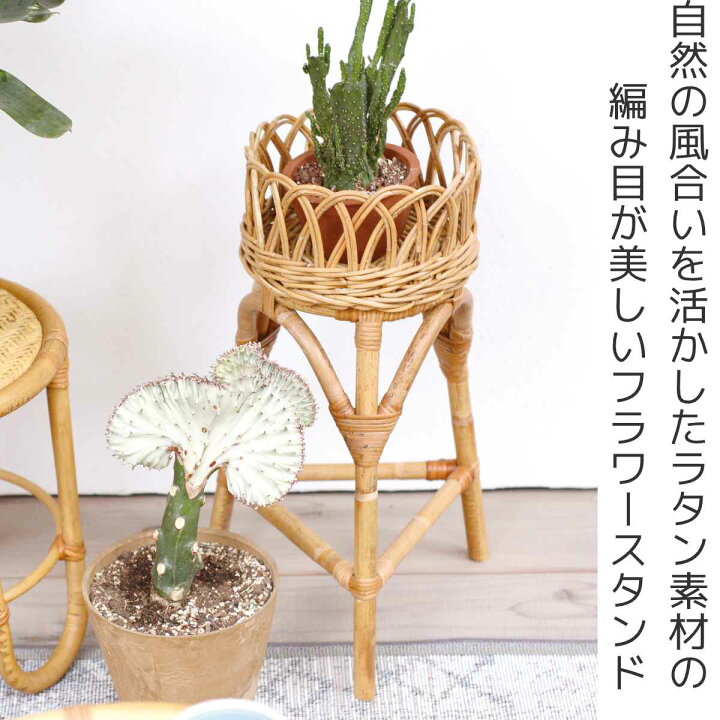 東京丸の内の癒やし空間！おしゃれな観葉植物とグリーン雑貨が揃う『garage