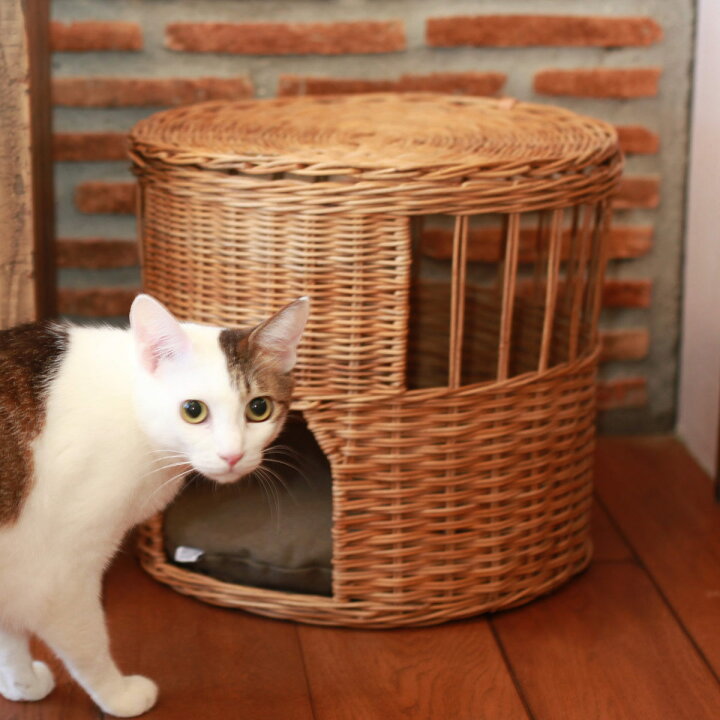 楽天市場】ベッド 猫 キャットハウス ふた付き 丸 ラタン （ ペット 