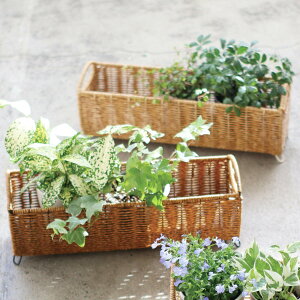 Jo[ eB O|bgJo[ L i v^[Jo[ |bgJo[  JS oXPbg vg|bg [JS ϗtA A    |bg X^h 