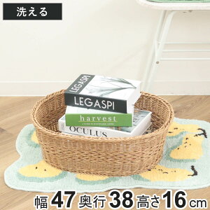 oXPbg eBiC[  I[o i 47×s38×16cm 􂦂[{bNX  JS 􂦂oXPbg [ VRfޕ [ [ [P[X ȒP y 