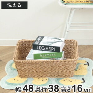 oXPbg eBiC[  Ng i 48×s38×16cm 􂦂[{bNX  JS 􂦂oXPbg [ VRfޕ [ [ [P[X ȒP y _