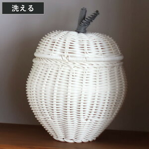  oXPbg a25.5cm t[cVFCvoXPbg Abv [P[X 􂦂 ӂt i [ [  t[c `[t ` ^   IV Vv k 