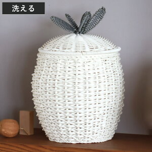  oXPbg a32cm t[cVFCvoXPbg pCibv [P[X 􂦂 ӂt i [ [  t[c `[t ` ^ pC  IV Vv k