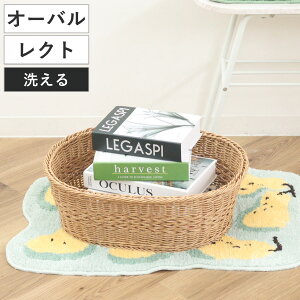 oXPbg eBiC[  i 􂦂[{bNX  JS 􂦂oXPbg 47×s38×16cm 48×s38×16cm [ VRfޕ [ [ y _ Ȃ₩