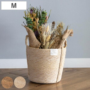 Jo[l tFCNPE oXPbgEh M i v^[Jo[ |bgJo[  JS oXPbg [JS [ ҂ ϗtA A    |bg  A