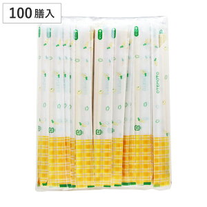  蔢 tB[OAXy| \ 100V i 20.3cm ΂ ĝ   ͂ nV ΂ AXy \  ܓ j