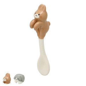 Xv[   i Jg[ e[uEFA Lb`pi  Aj}  ETM fBXvC 킢 R[q[Xv[ eB[Xv[ j