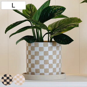 Aؔ \u|bg L 󂯎Mt i t[|bg vg|bg v^[|bg  A  CeA Aւ  ϗtA A T{e | 󂯎M  