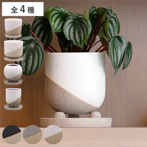 植木鉢 レヒーポット Aタイプ Bタイプ Cタイプ Dタイプ 受け皿付き ( フラワーポット プラントポット プランターポット 鉢 鉢植え インテリア 植え替え おしゃれ 観葉植物 多肉植物 サボテン