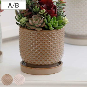 �A�ؔ� �j�[�h�|�b�g A�^�C�v B�^�C�v L �󂯎M�t�� �i �t�����[�|�b�g �v�����g�|�b�g �v�����^�[�|�b�g �� ���A�� ���� ���퐻 �C���e���A �A���ւ� ������� �ϗt�A�� �����A�� �T�{�e�� 