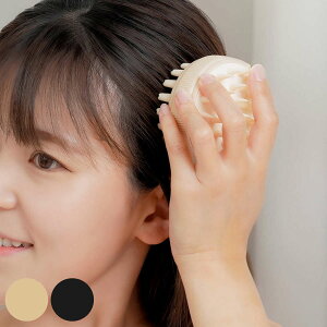 XJvuV 2wayXJvuV wA}bT[W i uV Vv[uV 2way   Lbvt C oXObY PA ь wbhuV }bT[W j