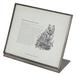 t[ ^ 20.5cm _g DULTON i ʐ^ tHgt[ z z L ʐ^ tHgX^h |XgJ[h A[gt[ ^t[ j[ vCX j