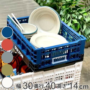 _g DULTON tH[fBObVXg[W 30×s40×14cm i [{bNX Rei [ ܂肽 11L oXPbg  [ JS AEghA Lv  ԍ 