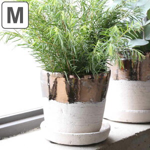 _g Aؔ eRb^ oCJ[|bg 4.5 i DULTON vg|bg Ap|bg Ԋ Jo[ |bg M  AؔJo[ A  ϗtA | A CeA Ԏ oC