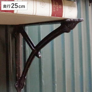 I 25cm {E uPbg ACA i I󂯋 ǖʎ[ EH[VFt [ I  I   AeB[N rXt _g DULTON Ǖt fBXvC bN VFt 