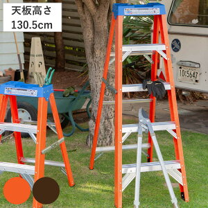 r 5i _g FIBER LADDER 5STEPS i DULTON A~ ݑ Xebv Xebv Xc[ ܂肽  ܂ ܂肽ݎ  ͂ X  [ Lb`  j