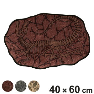 ���փ}�b�g ���� FOSSIL MAT 40×60 �i �}�b�g ���O ����~�� �􂦂� ���� �A�����i�C�g ���� �_���g�� ���O�}�b�g ��60cm �f�U�C���}�b�g ���� �E�ߏ� ���� �C���e���A �����p�}�b�g ������� ����