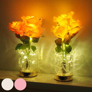 e[uv GKgCg ROSE dr i e[uCg Cg v ドCg R[hX  u[P CeA ԐڏƖ Ɩ u IuWF KN o ԑ  