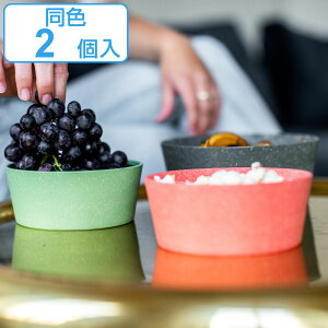 ボウル 同色2個入り 12cm KOZIOL CONNECT プラスチック ( 食洗機対応 サラダボウル デザートボウル 鉢 お椀 スタッキング 積み重ね コンパクト 軽い 割れにくい 丈夫 サラダ デザート エコ おしゃ