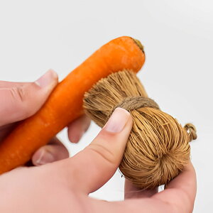 ؃uV [EFCXg xWuV full circle i ZeroWaste p[ RRibc VRf100 GR VRuV ؗpuV ؂킵 ɗD nɗD ؐ  ₳ 