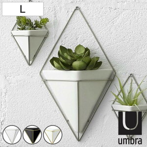 Umbra v^[ EH[I[KiCU[ L gbO i A؃|bg vg|bg Ap|bg Au Z~bN ǂ  Ђ` Ǌ|  fBXvC nMO 艺 